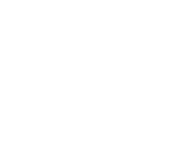 protesi