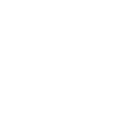 Conservativa