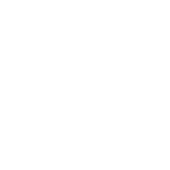 Protesi